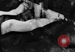 Standbild Pferde Sowjetunion, 1942, aus Sekunde 24 historischem Filmmaterial Videoclip 65675070120