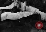 Standbild Pferde Sowjetunion, 1942, aus Sekunde 25 historischem Filmmaterial Videoclip 65675070120