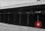 Standbild Pferde Sowjetunion, 1942, aus Sekunde 34 historischem Filmmaterial Videoclip 65675070120