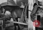 Standbild Pferde Sowjetunion, 1942, aus Sekunde 39 historischem Filmmaterial Videoclip 65675070120