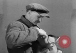 Standbild Pferde Sowjetunion, 1942, aus Sekunde 52 historischem Filmmaterial Videoclip 65675070120