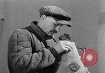 Standbild Pferde Sowjetunion, 1942, aus Sekunde 53 historischem Filmmaterial Videoclip 65675070120
