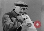 Standbild Pferde Sowjetunion, 1942, aus Sekunde 54 historischem Filmmaterial Videoclip 65675070120