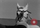 Standbild Pferde Sowjetunion, 1942, aus Sekunde 59 historischem Filmmaterial Videoclip 65675070120