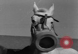 Standbild Pferde Sowjetunion, 1942, aus Sekunde 60 historischem Filmmaterial Videoclip 65675070120