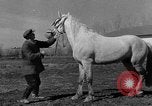 Standbild Pferde Sowjetunion, 1942, aus Sekunde 61 historischem Filmmaterial Videoclip 65675070120