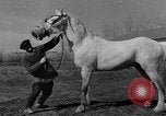 Standbild Pferde Sowjetunion, 1942, aus Sekunde 62 historischem Filmmaterial Videoclip 65675070120