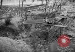 Image civils hongrois Budapest Hongrie, 1956, de la seconde 13 séquences d'archives historiques vidéo 65675070128