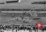 Standbild Faireno Pferd New York United States USA, 1932, aus Sekunde 25 historischem Filmmaterial Videoclip 65675070137
