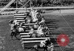 Standbild Faireno Pferd New York United States USA, 1932, aus Sekunde 31 historischem Filmmaterial Videoclip 65675070137