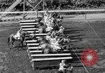 Standbild Faireno Pferd New York United States USA, 1932, aus Sekunde 33 historischem Filmmaterial Videoclip 65675070137