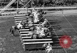 Standbild Faireno Pferd New York United States USA, 1932, aus Sekunde 34 historischem Filmmaterial Videoclip 65675070137