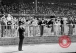 Standbild Faireno Pferd New York United States USA, 1932, aus Sekunde 35 historischem Filmmaterial Videoclip 65675070137