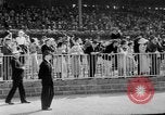 Standbild Faireno Pferd New York United States USA, 1932, aus Sekunde 37 historischem Filmmaterial Videoclip 65675070137