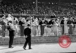 Standbild Faireno Pferd New York United States USA, 1932, aus Sekunde 39 historischem Filmmaterial Videoclip 65675070137