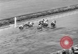 Standbild Faireno Pferd New York United States USA, 1932, aus Sekunde 50 historischem Filmmaterial Videoclip 65675070137