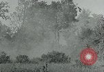 Immagine di Soldati statunitensi Saint Jores Francia, 1944, secondo 22 filmato di repertorio 65675070139