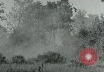 Immagine di Soldati statunitensi Saint Jores Francia, 1944, secondo 23 filmato di repertorio 65675070139