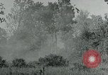 Immagine di Soldati statunitensi Saint Jores Francia, 1944, secondo 24 filmato di repertorio 65675070139