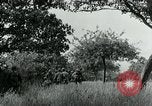 Immagine di Soldati statunitensi Saint Jores Francia, 1944, secondo 16 filmato di repertorio 65675070140