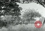Immagine di Soldati statunitensi Saint Jores Francia, 1944, secondo 18 filmato di repertorio 65675070140