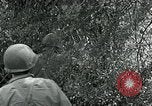 Immagine di Soldati statunitensi Saint Jores Francia, 1944, secondo 44 filmato di repertorio 65675070140