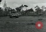 Immagine di Soldati statunitensi Saint Jores Francia, 1944, secondo 3 filmato di repertorio 65675070141