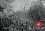 Immagine di Soldati statunitensi Saint Jores Francia, 1944, secondo 49 filmato di repertorio 65675070141