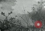 Immagine di Soldati statunitensi Saint Jores Francia, 1944, secondo 51 filmato di repertorio 65675070141