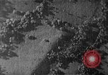Image of Soviet ballistic missiles Cuba, 1962, second 4 stock footage video 65675070164