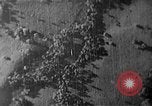 Image of Soviet ballistic missiles Cuba, 1962, second 7 stock footage video 65675070164