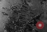 Image of Soviet ballistic missiles Cuba, 1962, second 13 stock footage video 65675070164
