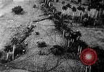Image of Soviet ballistic missiles Cuba, 1962, second 46 stock footage video 65675070164