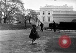 Image of Columbus Day Parade United States USA, 1962, second 54 stock footage video 65675070165