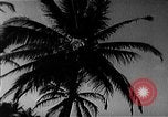 Image of Fidel Castro in time of missile crisis United States USA, 1962, second 21 stock footage video 65675070167