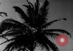 Image of Fidel Castro in time of missile crisis United States USA, 1962, second 24 stock footage video 65675070167