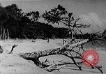 Image of Fidel Castro in time of missile crisis United States USA, 1962, second 31 stock footage video 65675070167