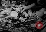 Image of bare shelves at supermarket United States USA, 1962, second 22 stock footage video 65675070172