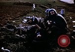 Immagine di Prigionieri tedeschi Germania, 1945, secondo 53 filmato di repertorio 65675070179