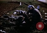 Immagine di Prigionieri tedeschi Germania, 1945, secondo 54 filmato di repertorio 65675070179