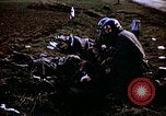 Immagine di Prigionieri tedeschi Germania, 1945, secondo 55 filmato di repertorio 65675070179