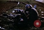 Immagine di Prigionieri tedeschi Germania, 1945, secondo 56 filmato di repertorio 65675070179