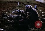 Immagine di Prigionieri tedeschi Germania, 1945, secondo 57 filmato di repertorio 65675070179