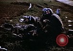Immagine di Prigionieri tedeschi Germania, 1945, secondo 58 filmato di repertorio 65675070179