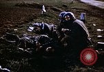 Immagine di Prigionieri tedeschi Germania, 1945, secondo 59 filmato di repertorio 65675070179