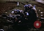 Immagine di Prigionieri tedeschi Germania, 1945, secondo 61 filmato di repertorio 65675070179