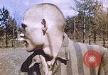 Immagine di Stati Uniti officer Germania, 1945, secondo 40 filmato di repertorio 65675070182
