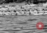 Image Native American Indian course de canoë Bellingham Washington USA, 1957, de la seconde 40 séquences d'archives historiques vidéo 65675070200