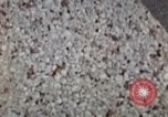 Immagine di Alta scuola i membri della band Washington DC USA, 1973, secondo 30 filmato di repertorio 65675070210