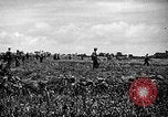 Image of United States Marines Okinawa Ryukyu Islands, 1945, second 3 stock footage video 65675070215